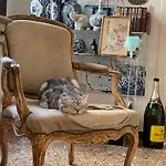Cats And Antiques In Private Home Stay