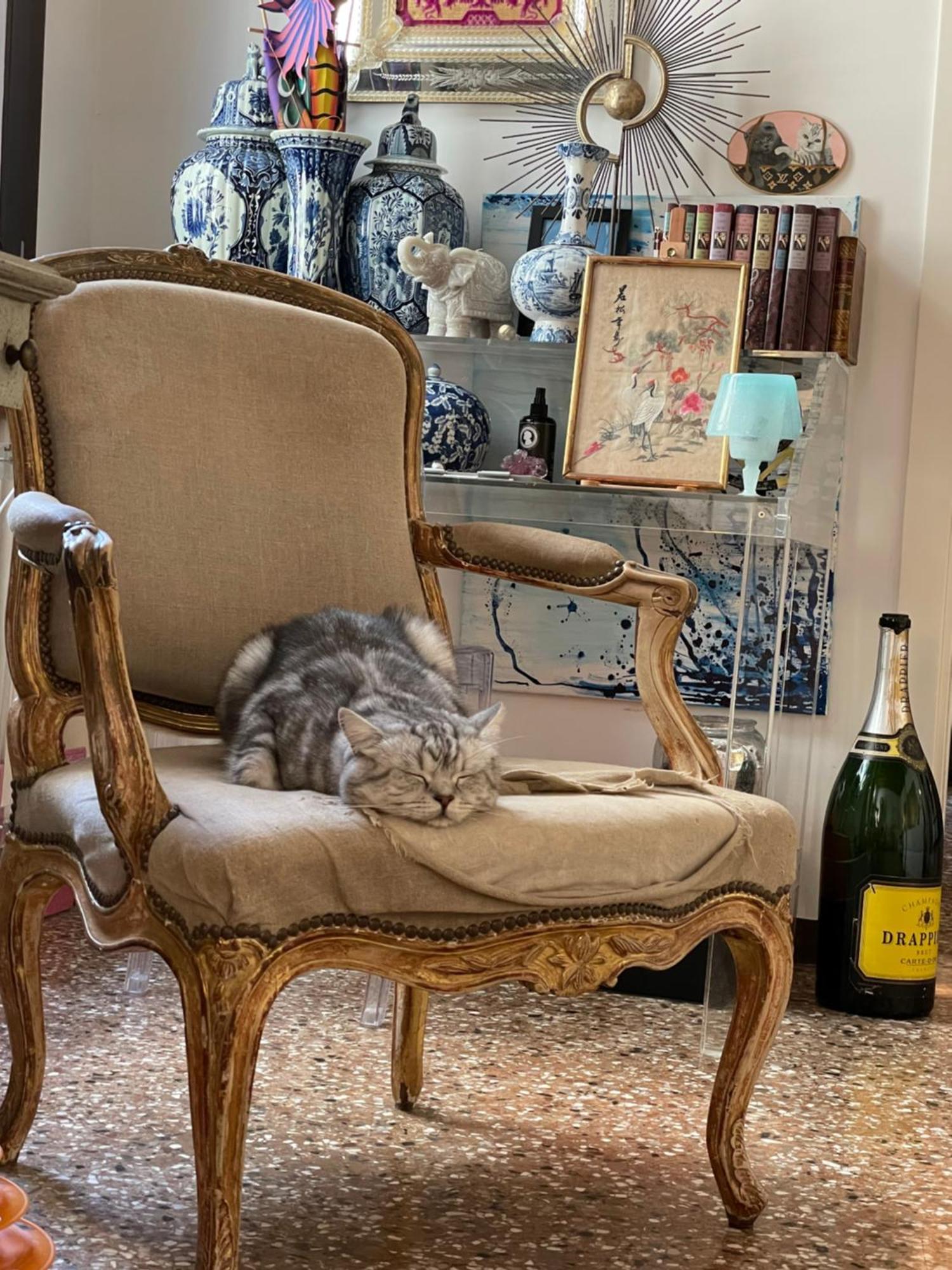 Homestay Cats And Antiques In Private