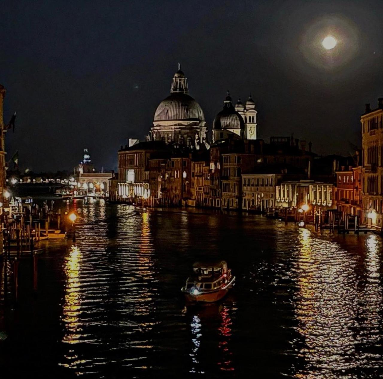 Cats And Antiques In Private Venice