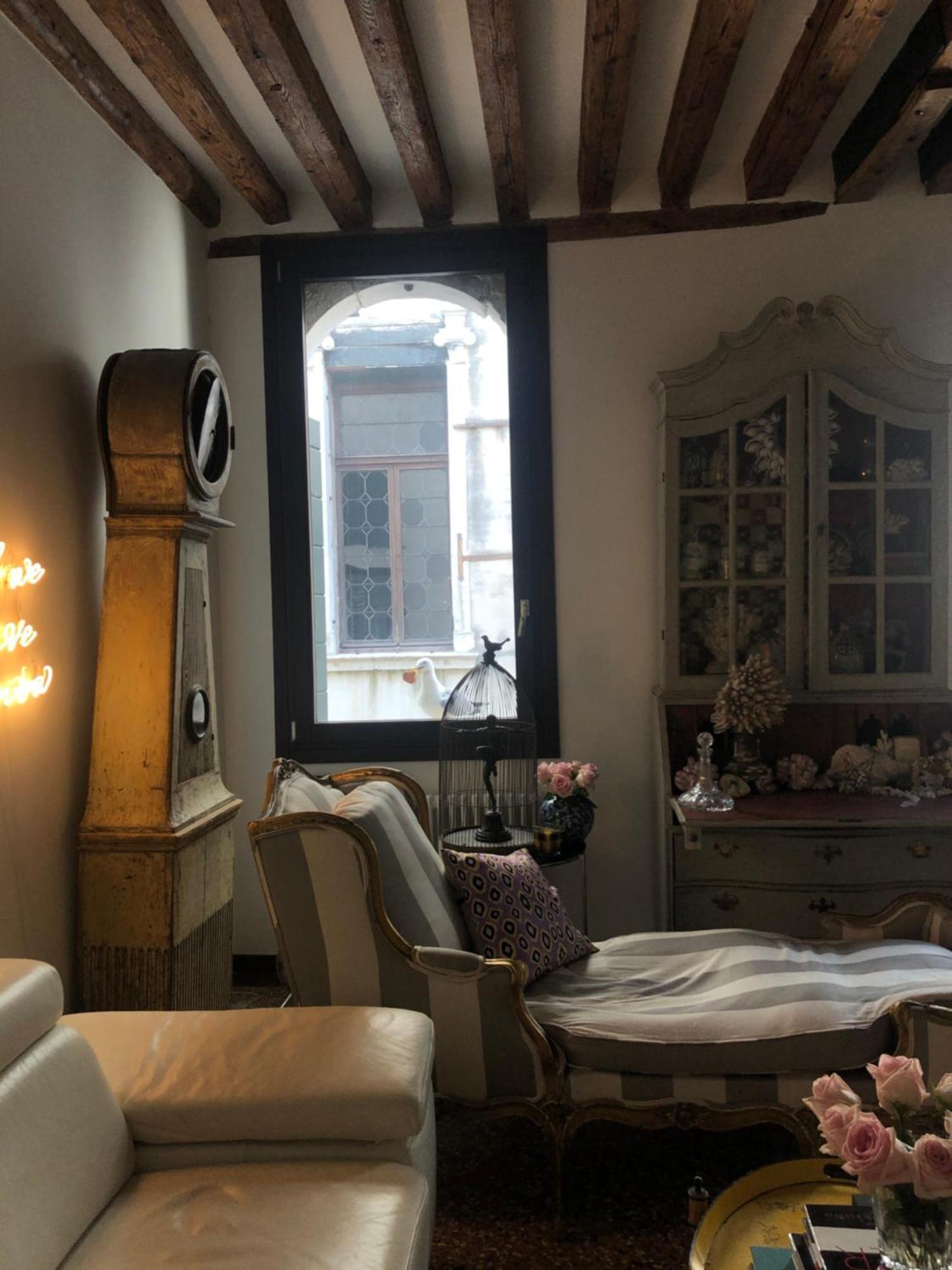 Cats And Antiques In Private *